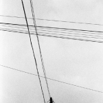 Poem & Line - 엔지 양展 :: Photography