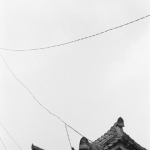 Poem & Line