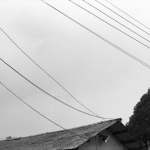 Poem & Line - 엔지 양展 :: Photography