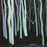 열대야: 한 여름 밤의 그림_A MIDSUMMER NIGHT’S PAINTING