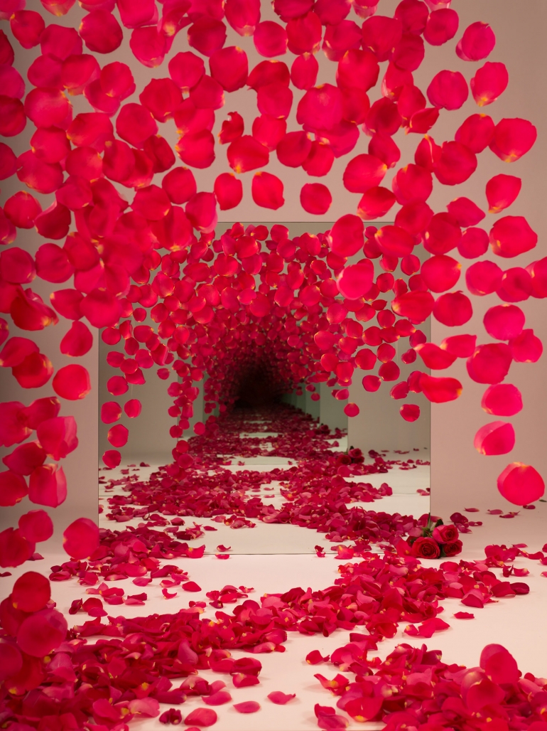 Infinite Tunnels drew in by the reflections, colors, and textures