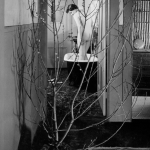 이모젠 커닝햄, Imogen Cunningham 展 