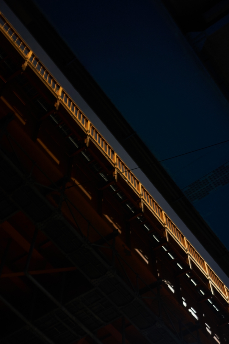 photography exhibition : SECTION