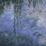 Water Lilies Virtual visit 