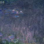 Water Lilies Virtual visit 