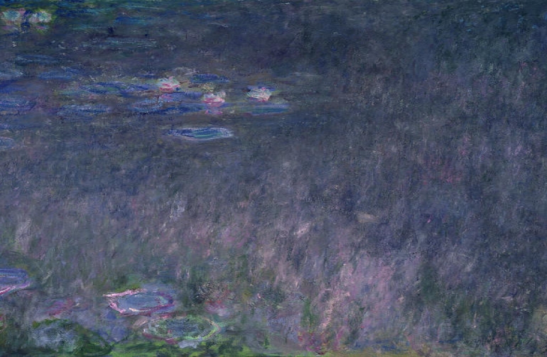 Water Lilies Virtual visit 