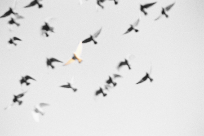 above me