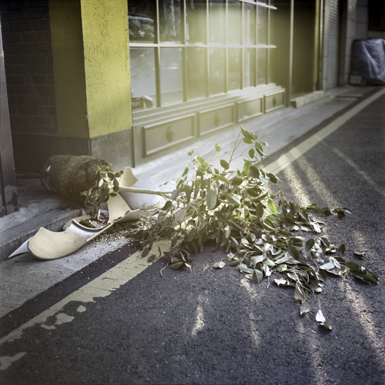 The face of a mirror