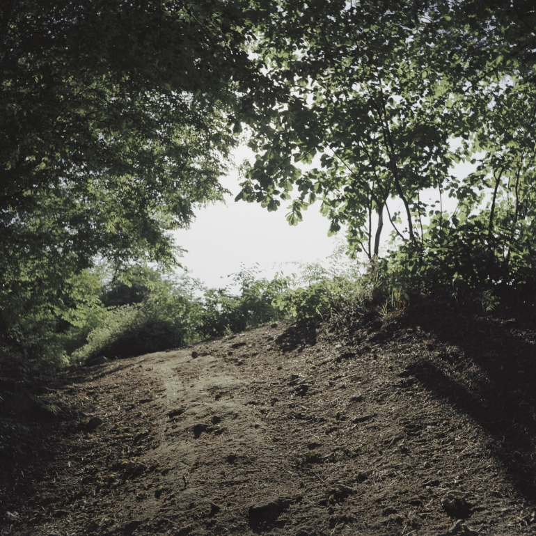 The face of a mirror