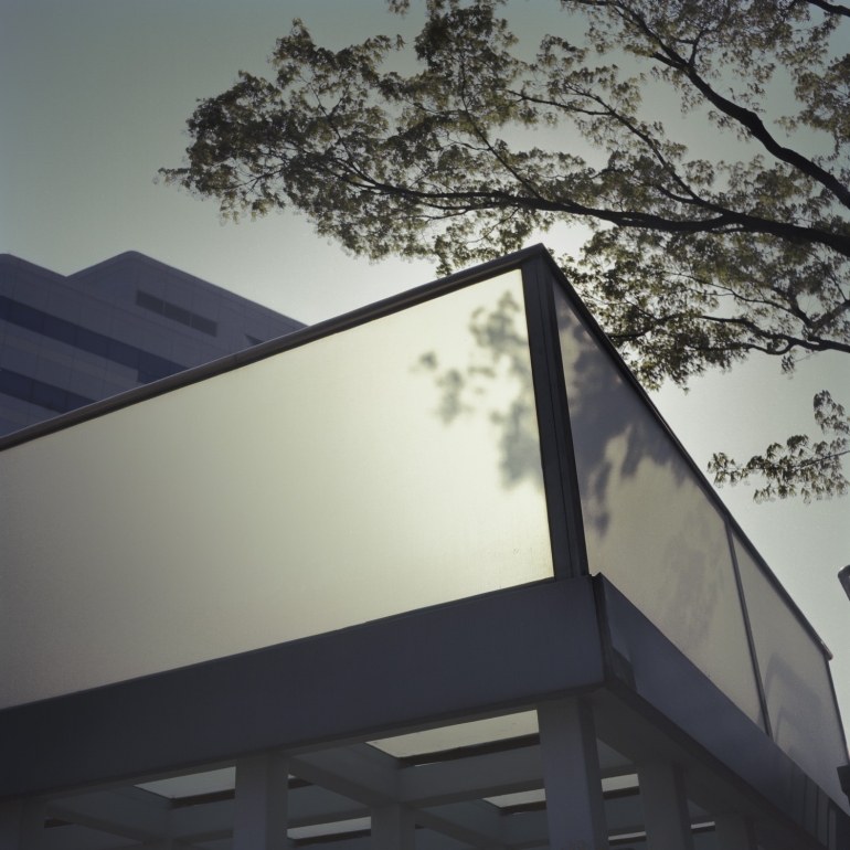 The face of a mirror