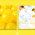 The cover design, Sample6
