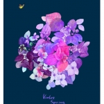 violet spring