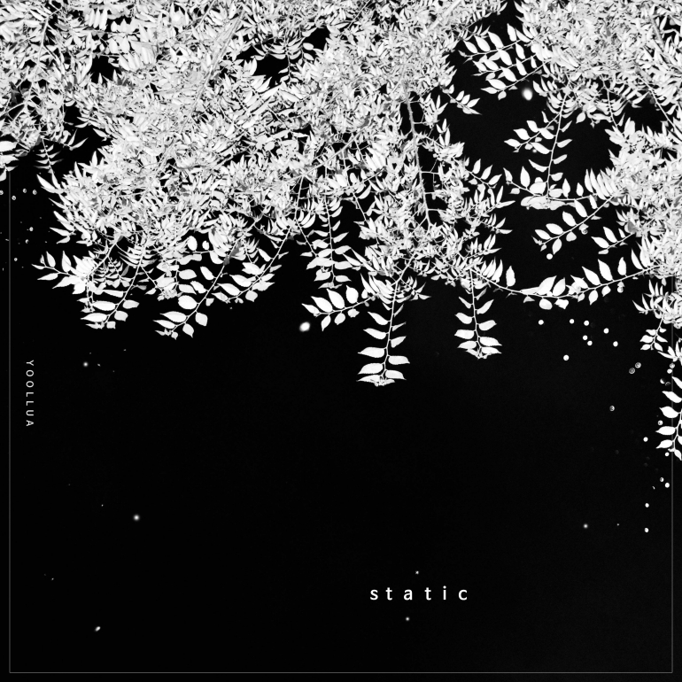 Violetlris X  Yoollua ARTWORK