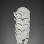 daegeun kang
