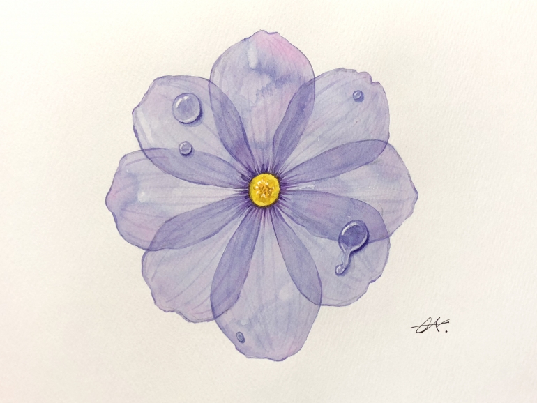How to draw : a transparent flower
