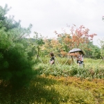 180625 Film roll  