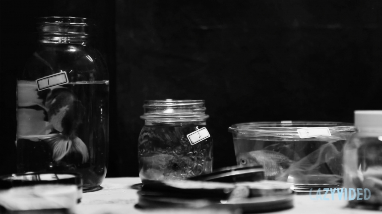 It is quickest to inject into the vein. The pill takes time to melt and the powder medicine is bitter to eat.