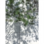 fragmentary gaze