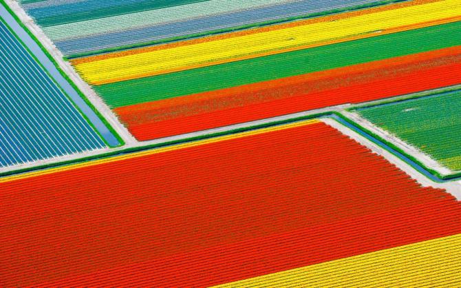 연속 그러나 비연속 연속 그러나 비연속