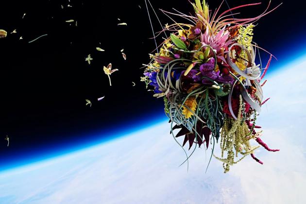 Exobiotanica_Botanical Space Flight