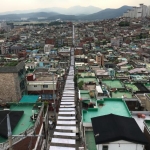 일상의 공유와 확산,  ‘2019 에코밸리커튼Ecovalley Curtain 아카이브’展 