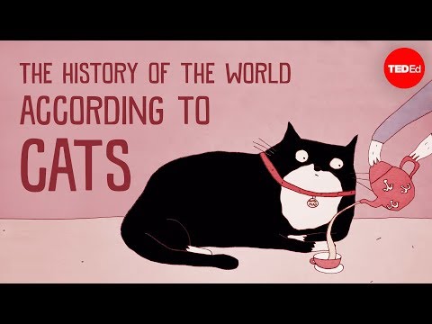 Research Director Eva-Maria Geigl reveals the history of cats