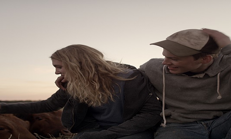 행복을 꿈꿀수록 고단해지는 운명에 대하여 <험악한 꿈>