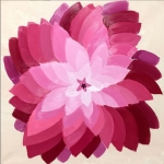 Camellia