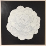 Camellia