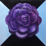 Camellia