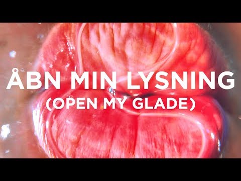 Pipilotti Rist — Åbn min lysning (Open My Glade)
