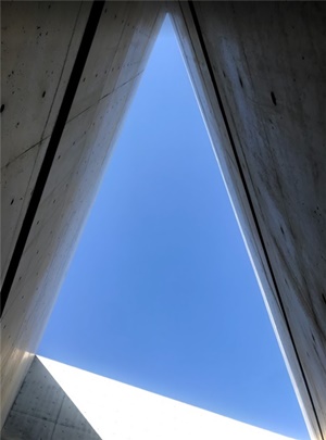 건축계의 연출가, 안도 타다오