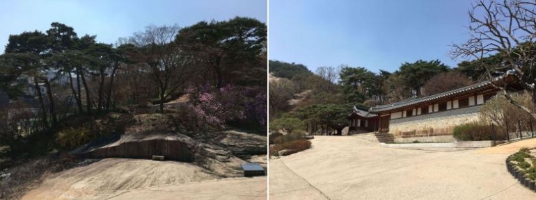 미술관 속 심리학- 평면에 움직임을 담다