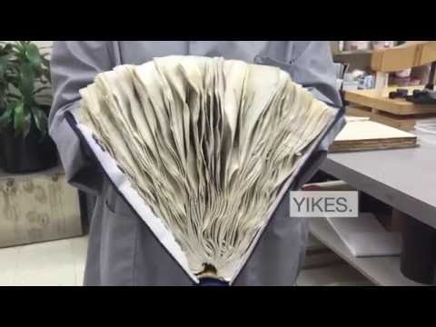 How to Rescue a Wet, Damaged Book