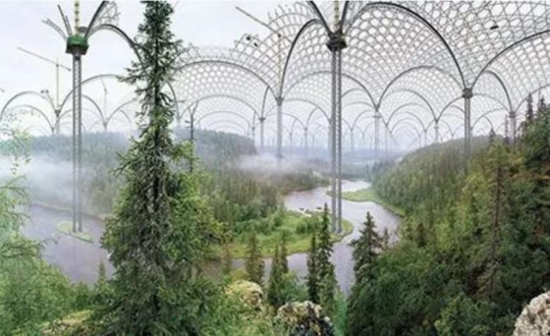 The Museum of Nature
