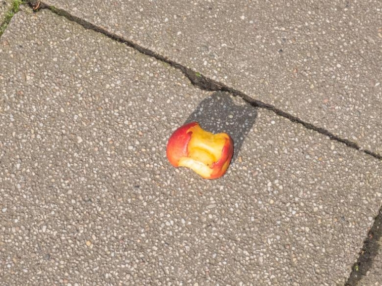 사진은 사실 아무것도 말하지 않는다