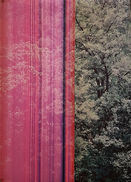 제목을 입력하세요