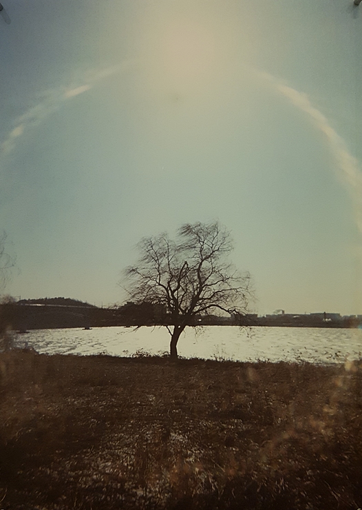 제목을 입력하세요