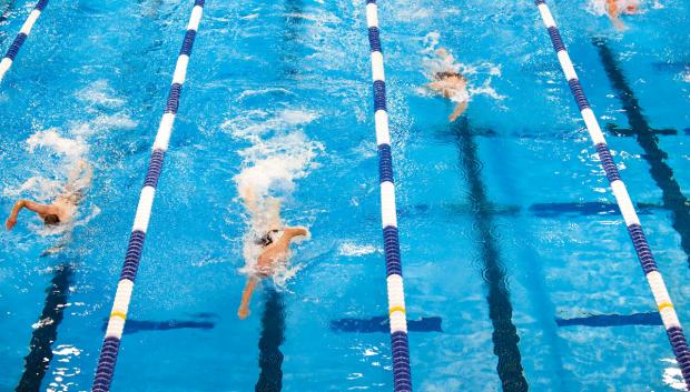 예술가 세계의 무한한 매력