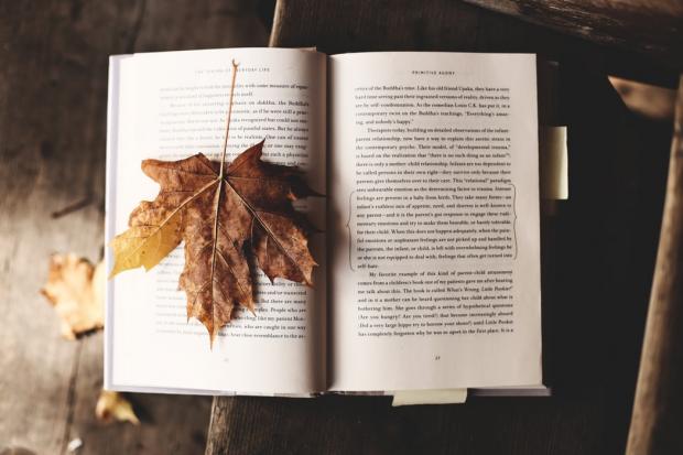 List of 125 Books That They Love for Adults