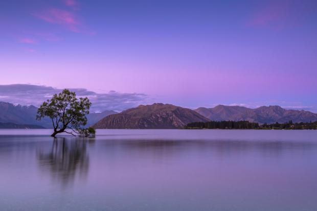 Winners of International Landscape Photographer of the Year Contest