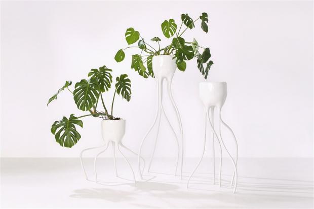 Plant Fever: Towards a phyto-centred design