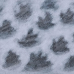 The Narrative of Existence : GUNAYOUNG  solo exhibition