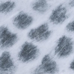 The Narrative of Existence : GUNAYOUNG  solo exhibition