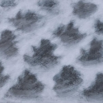 The Narrative of Existence : GUNAYOUNG  solo exhibition