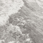 더 쇼룸 The Showroom