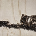Lee Don-soon Solo exhibition <Life in a Separated City-From the Gwangju Housing Complex Incident>