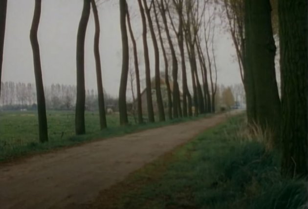 In a Brilliant Light: Van Gogh in Arles, 1984