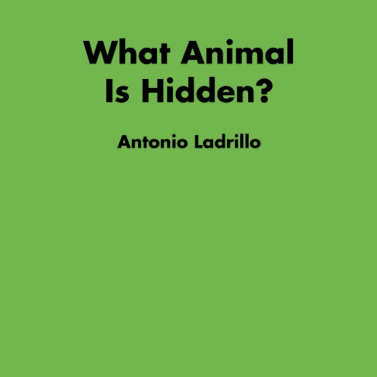 안토니오 라드릴로 Antonio Ladrillo: What Animal Is Hidden?