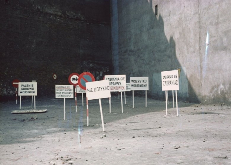 Poetry and Performance. The Eastern European Perspective